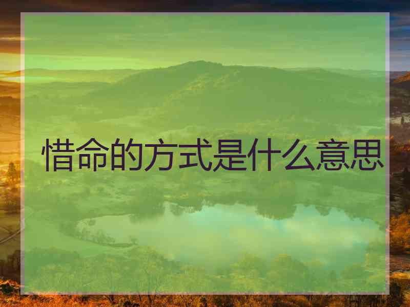 惜命的方式是什么意思