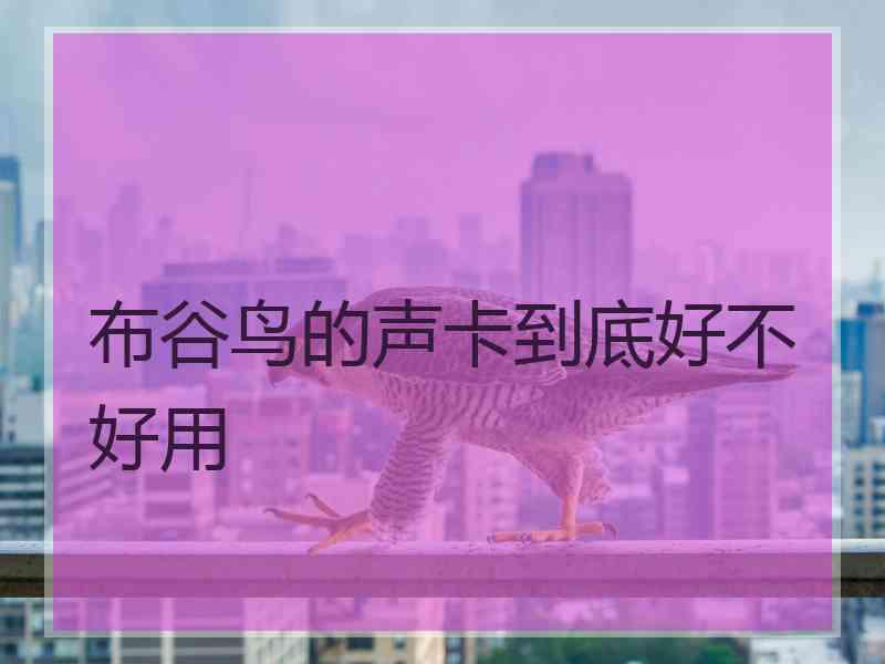 布谷鸟的声卡到底好不好用