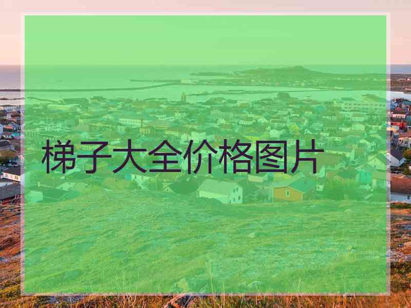 梯子大全价格图片