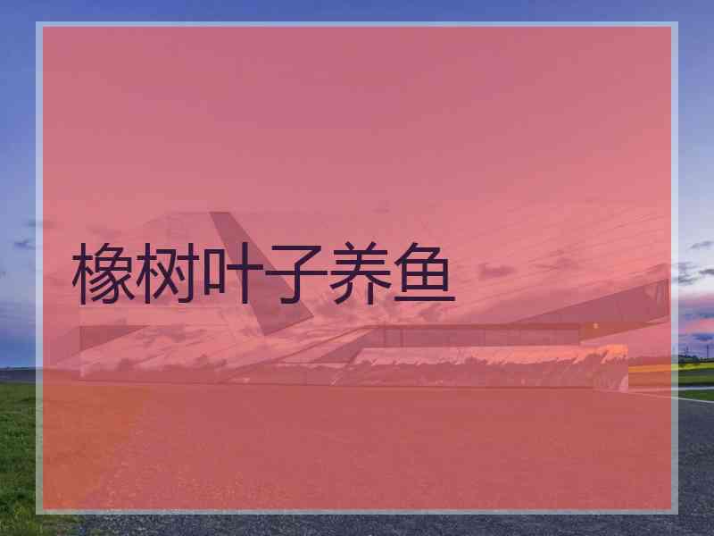橡树叶子养鱼