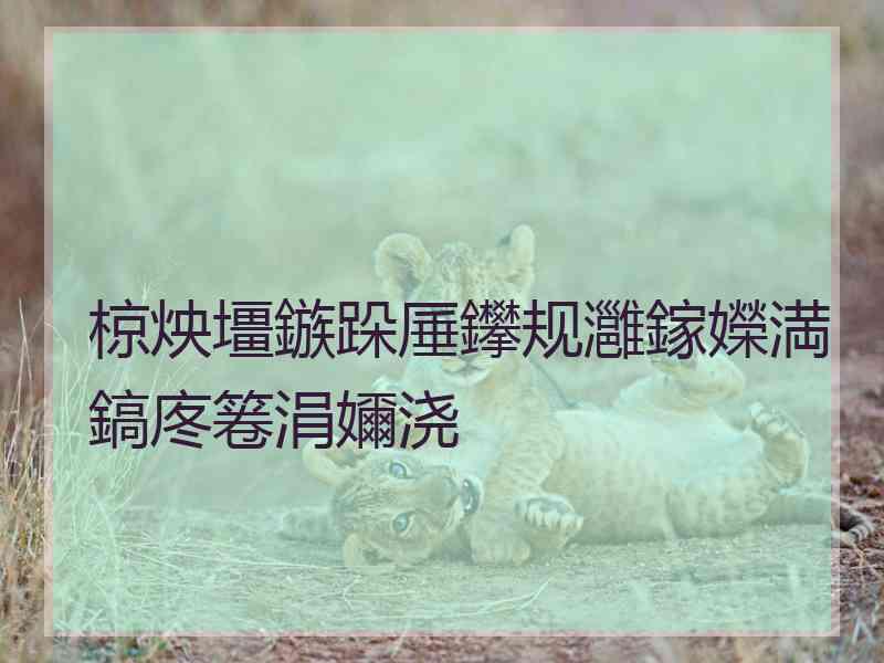 椋炴壃鏃跺厜鑻规灉鎵嬫満鎬庝箞涓嬭浇