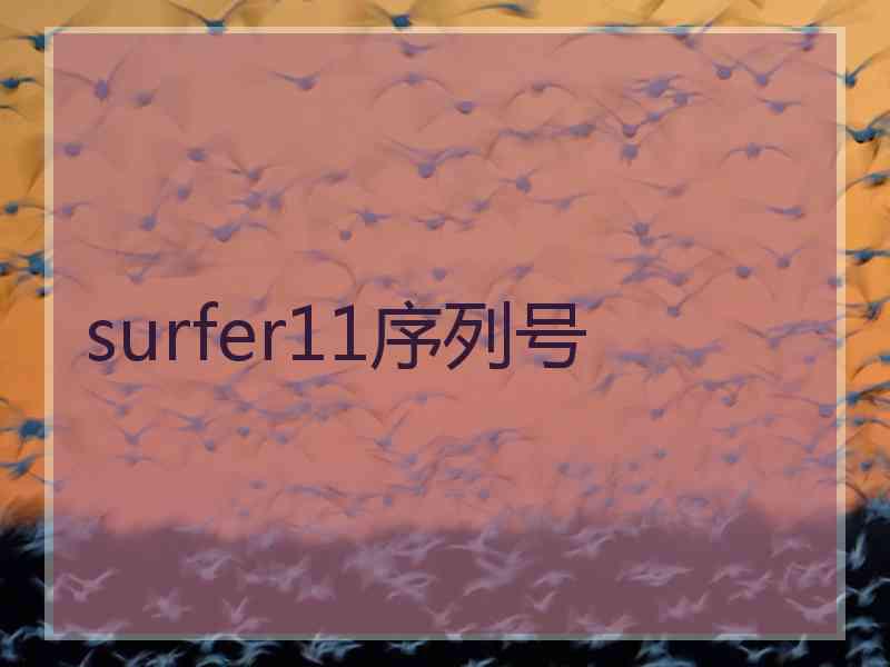 surfer11序列号