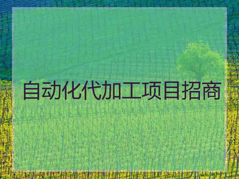 自动化代加工项目招商