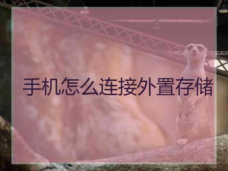 手机怎么连接外置存储