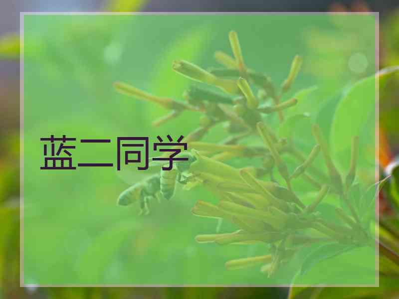 蓝二同学