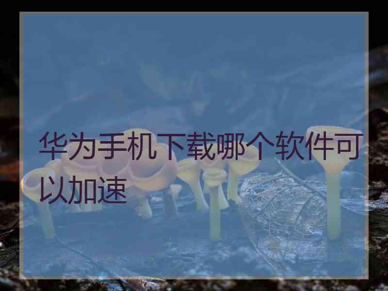 华为手机下载哪个软件可以加速