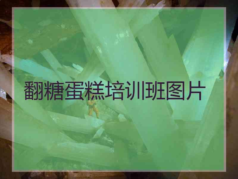翻糖蛋糕培训班图片