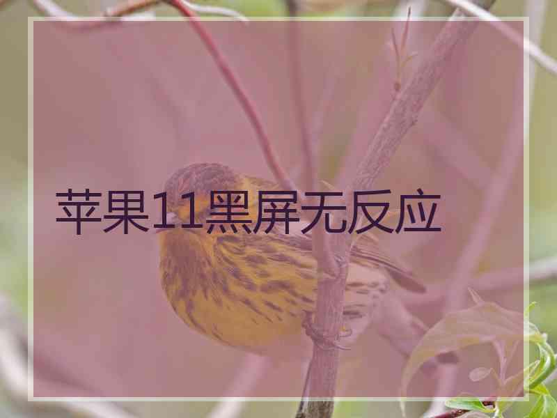 苹果11黑屏无反应