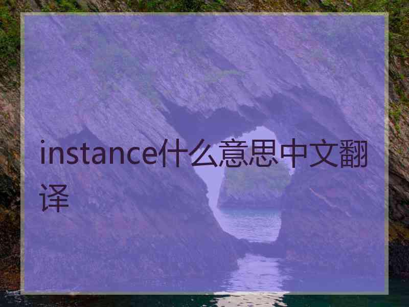 instance什么意思中文翻译