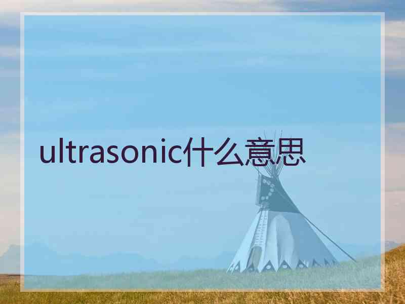 ultrasonic什么意思