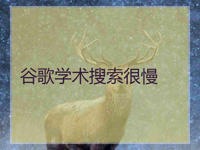 谷歌学术搜索很慢