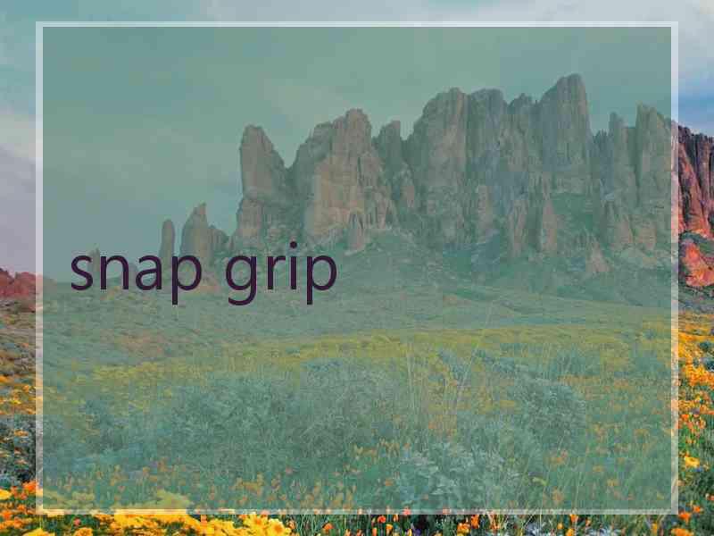 snap grip