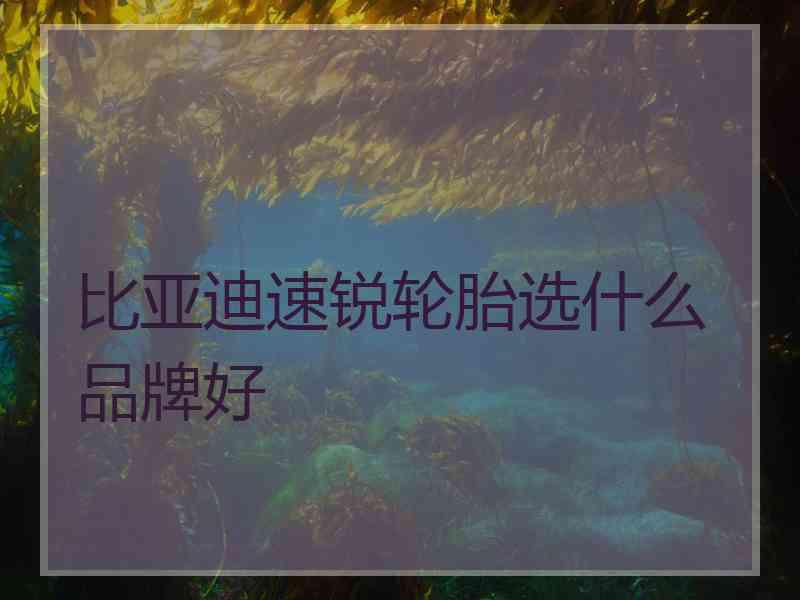 比亚迪速锐轮胎选什么品牌好