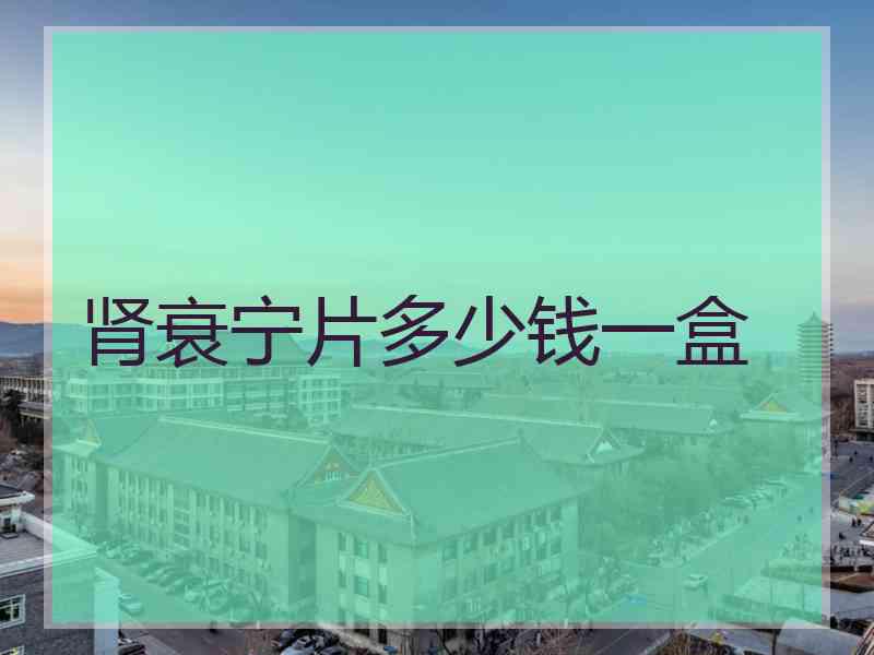 肾衰宁片多少钱一盒