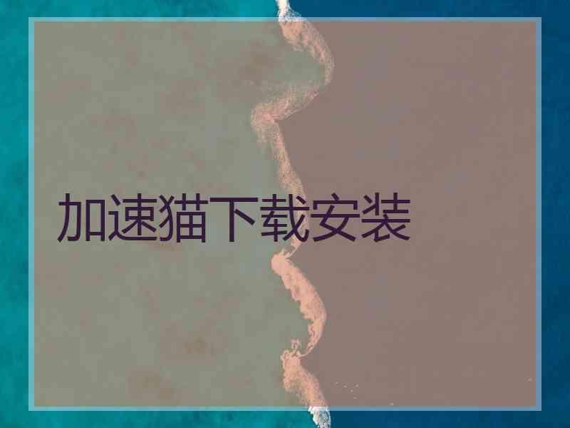 加速猫下载安装