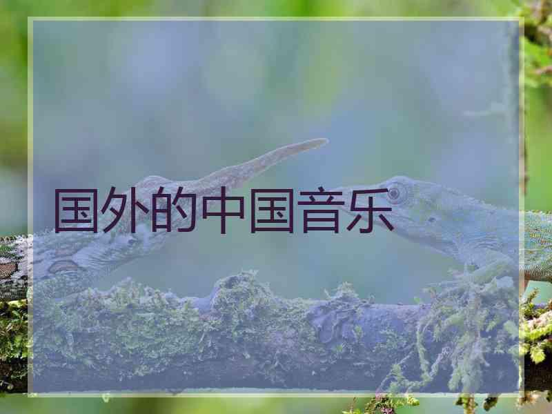 国外的中国音乐