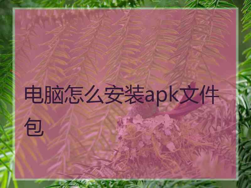 电脑怎么安装apk文件包