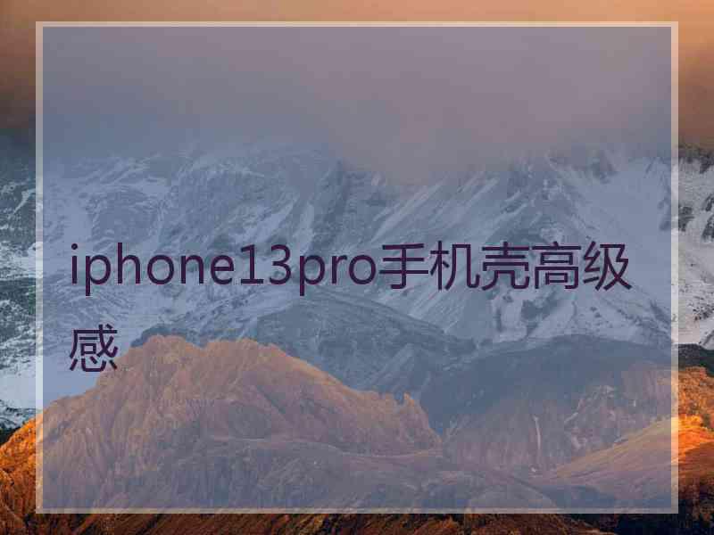 iphone13pro手机壳高级感