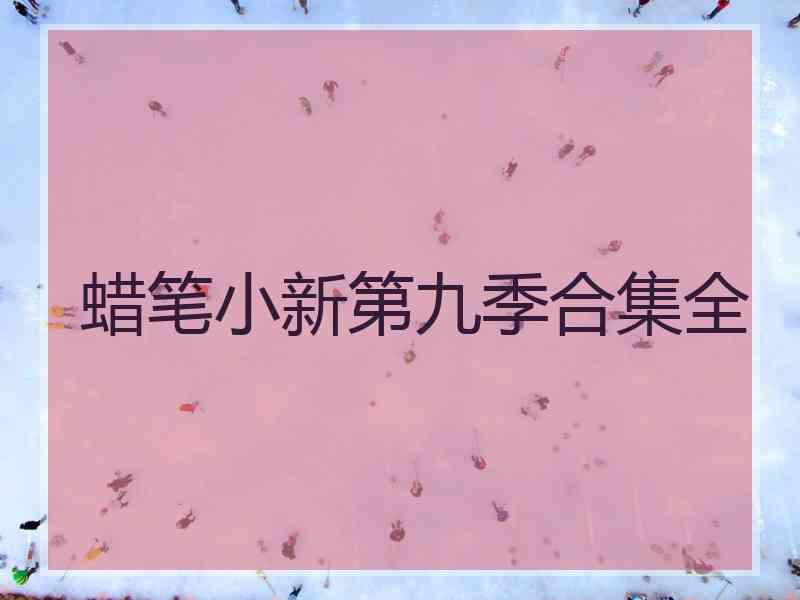 蜡笔小新第九季合集全