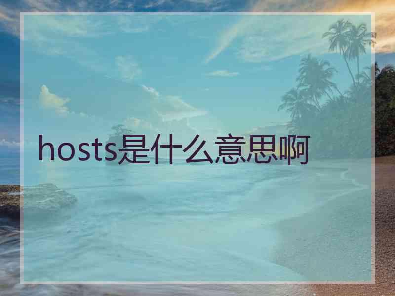 hosts是什么意思啊