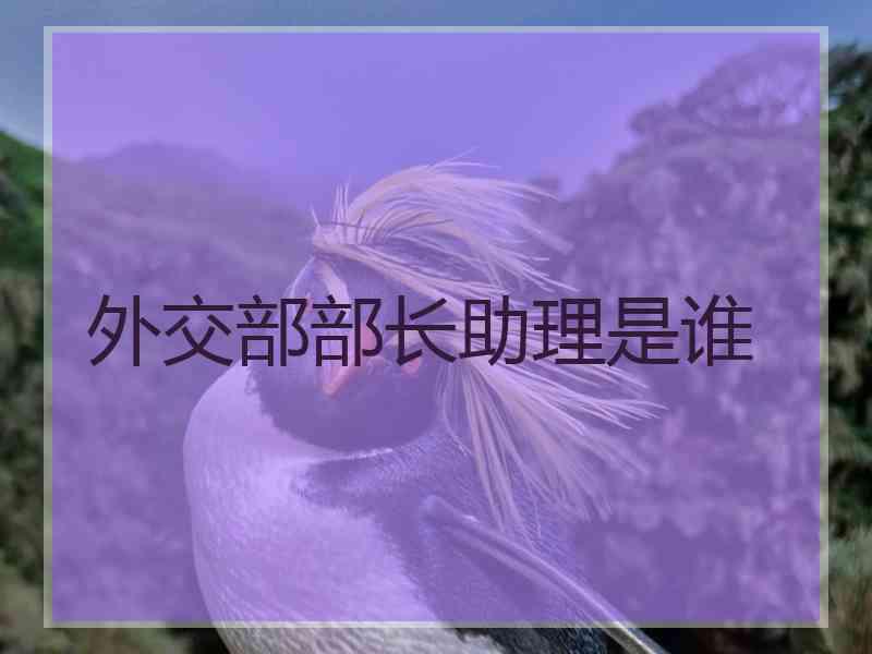 外交部部长助理是谁