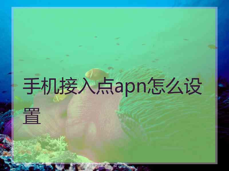 手机接入点apn怎么设置