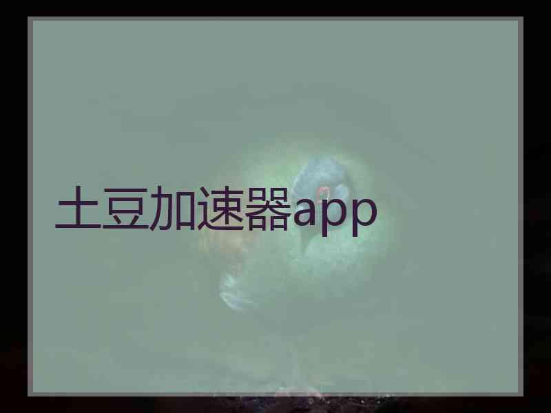 土豆加速器app