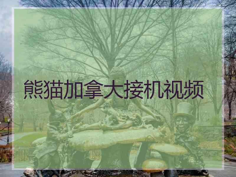 熊猫加拿大接机视频