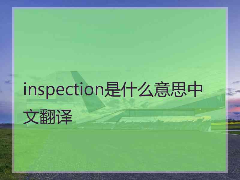 inspection是什么意思中文翻译