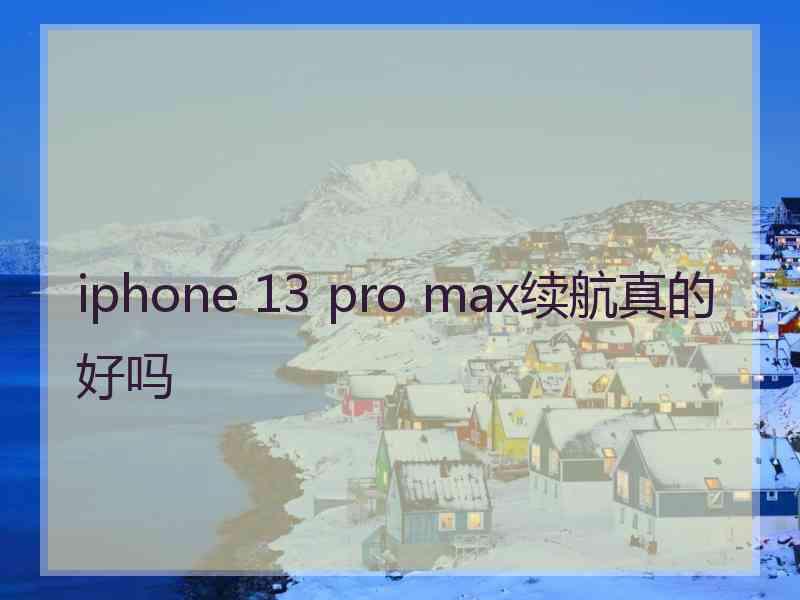 iphone 13 pro max续航真的好吗