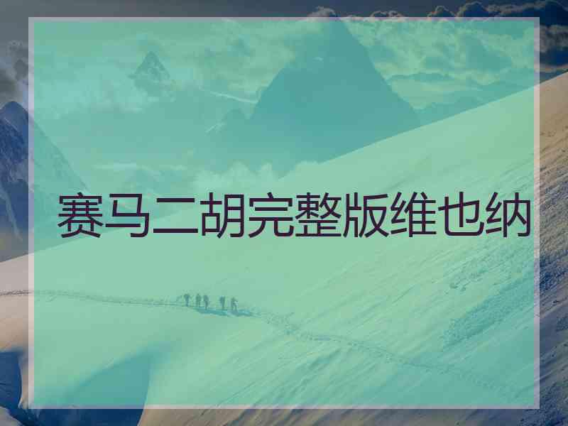 赛马二胡完整版维也纳