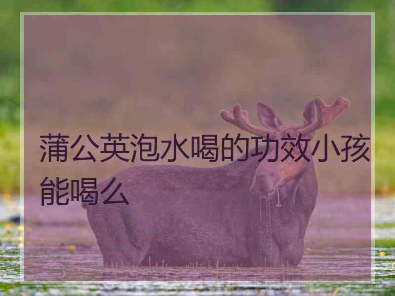 蒲公英泡水喝的功效小孩能喝么