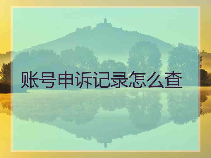 账号申诉记录怎么查