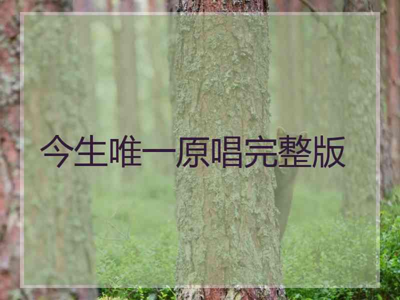 今生唯一原唱完整版