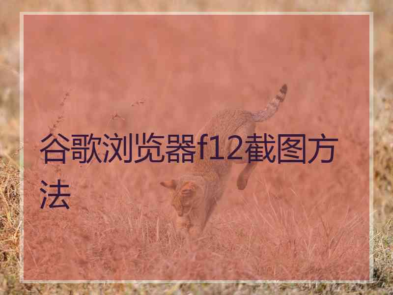 谷歌浏览器f12截图方法