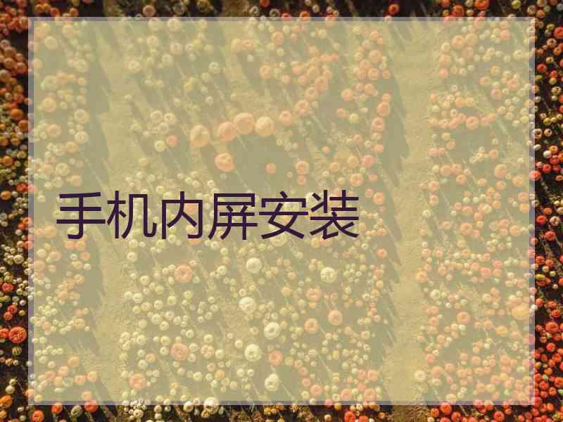 手机内屏安装