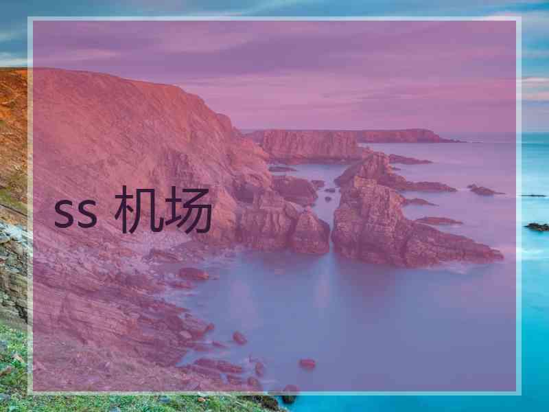 ss 机场