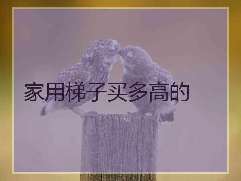 家用梯子买多高的