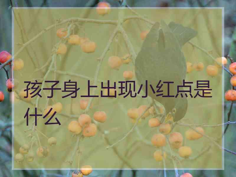 孩子身上出现小红点是什么