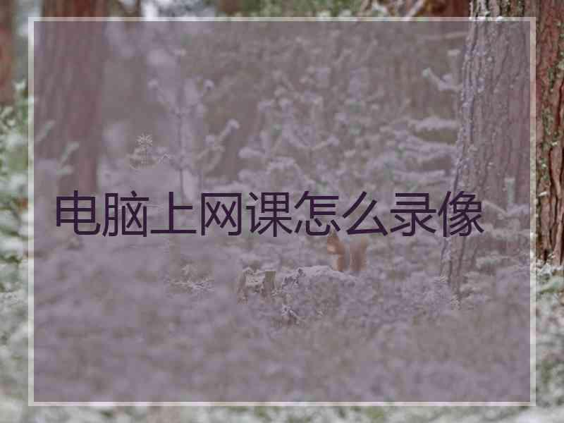 电脑上网课怎么录像