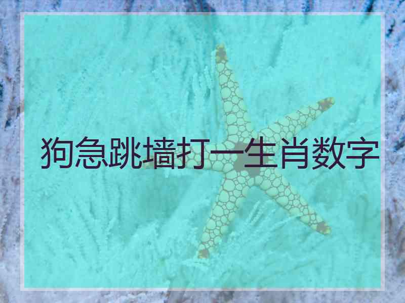 狗急跳墙打一生肖数字