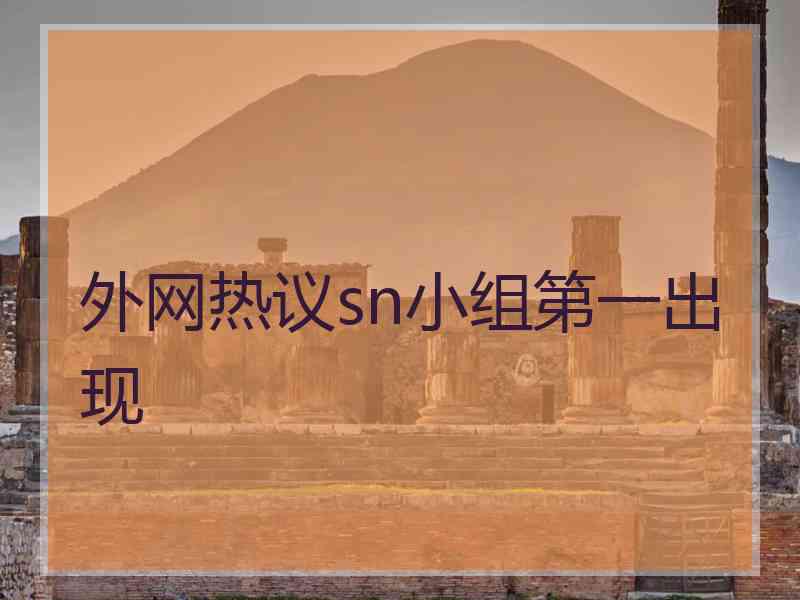 外网热议sn小组第一出现