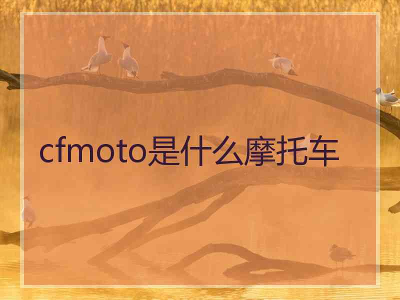 cfmoto是什么摩托车