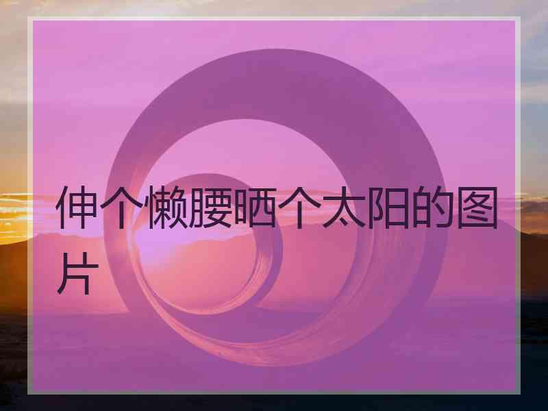 伸个懒腰晒个太阳的图片