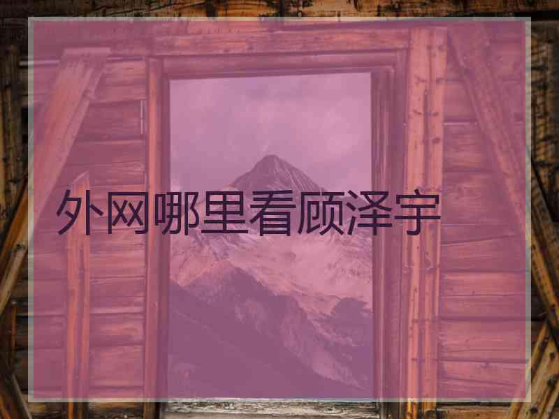 外网哪里看顾泽宇