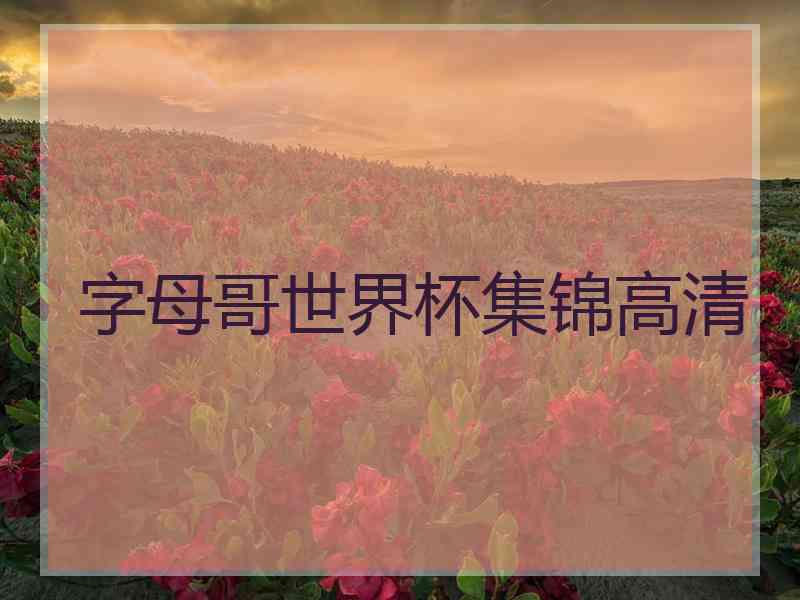 字母哥世界杯集锦高清