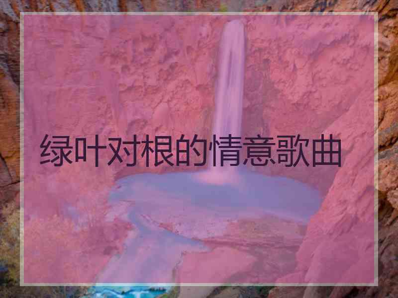 绿叶对根的情意歌曲