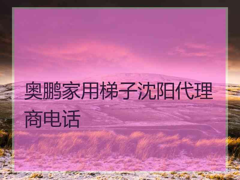 奥鹏家用梯子沈阳代理商电话