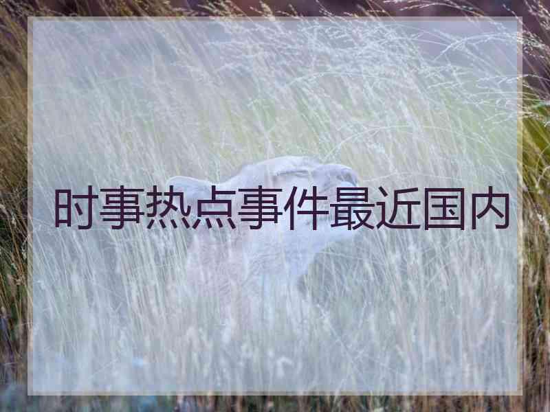 时事热点事件最近国内
