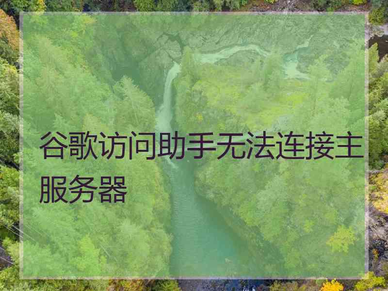 谷歌访问助手无法连接主服务器